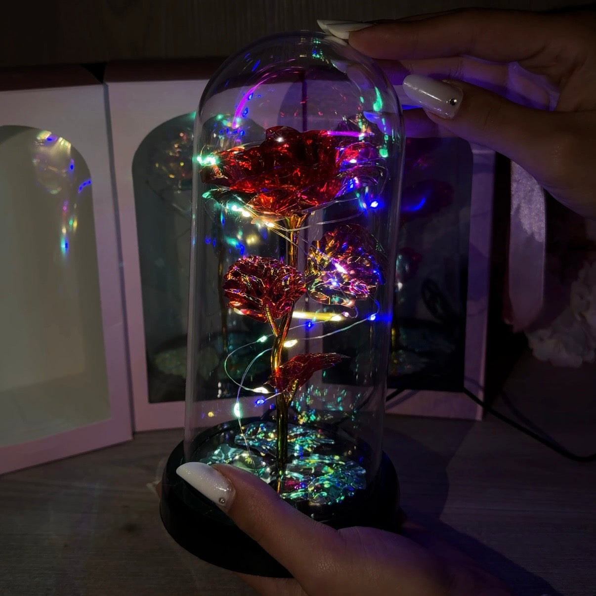 Trandafiri in Cupola Sticla