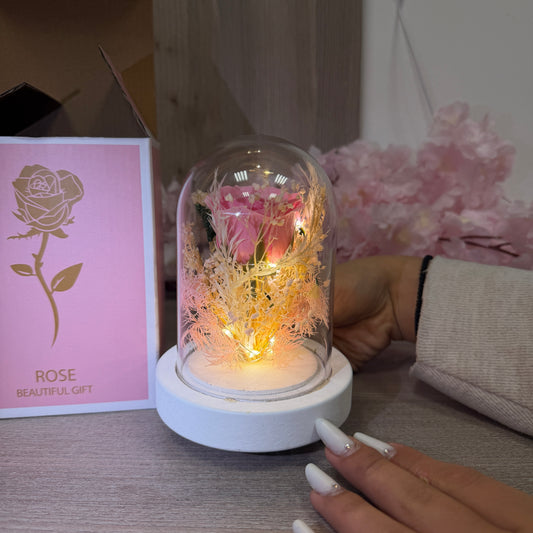 Trandafir Eternal Love