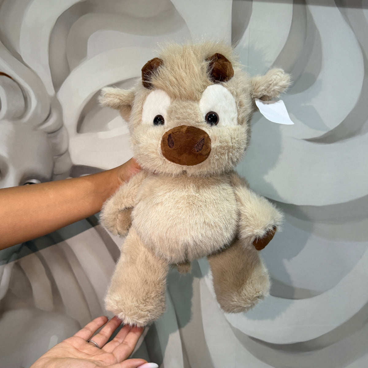 Runny Friends- Plusurile care alearga